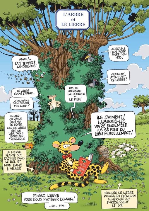 avril actualites jardin 6