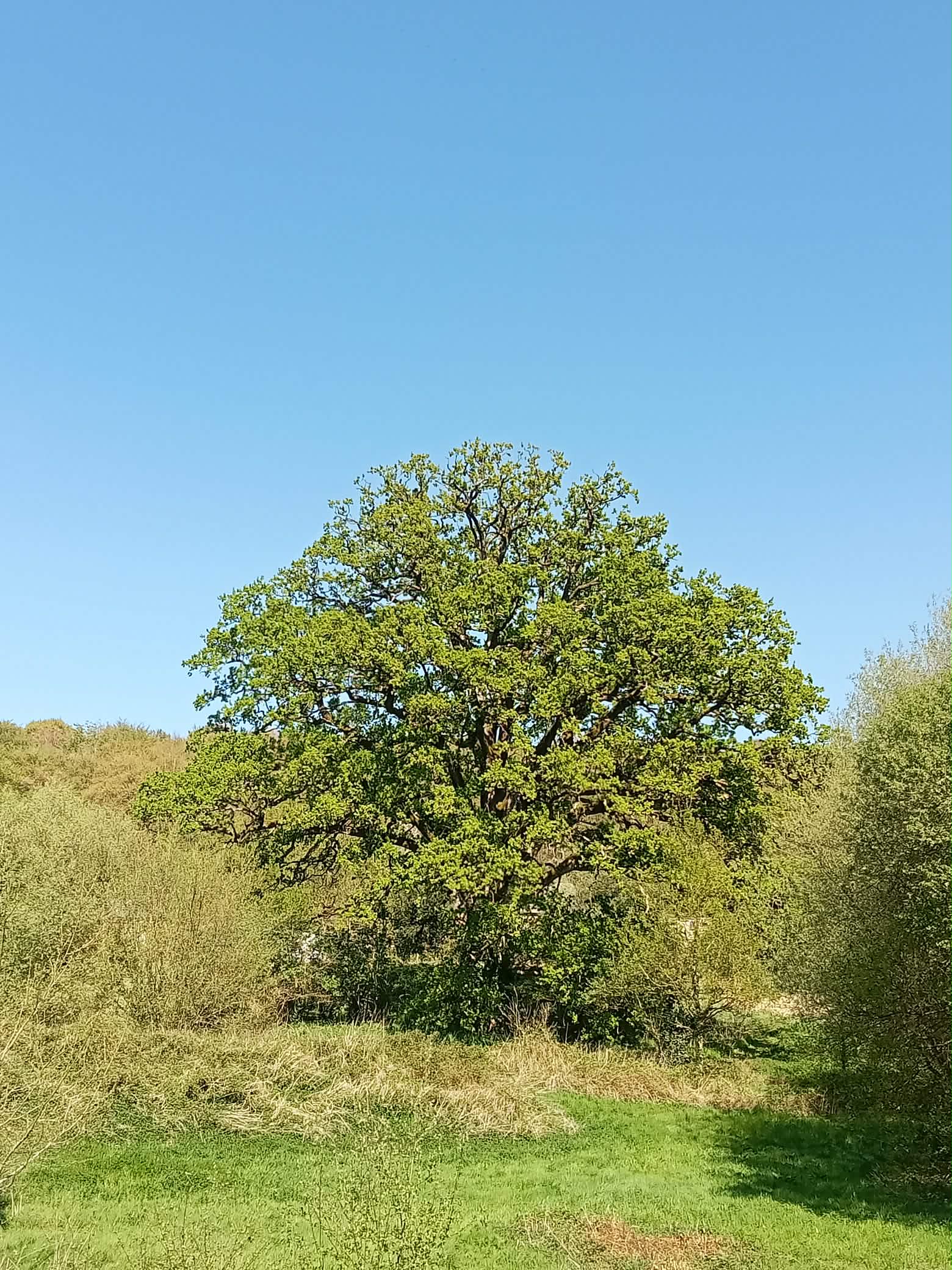 image00020